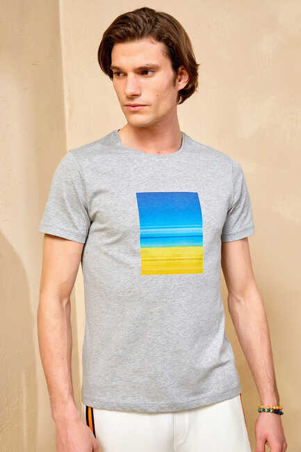 Grey Melange 100% Cotton Printed T-shirt 